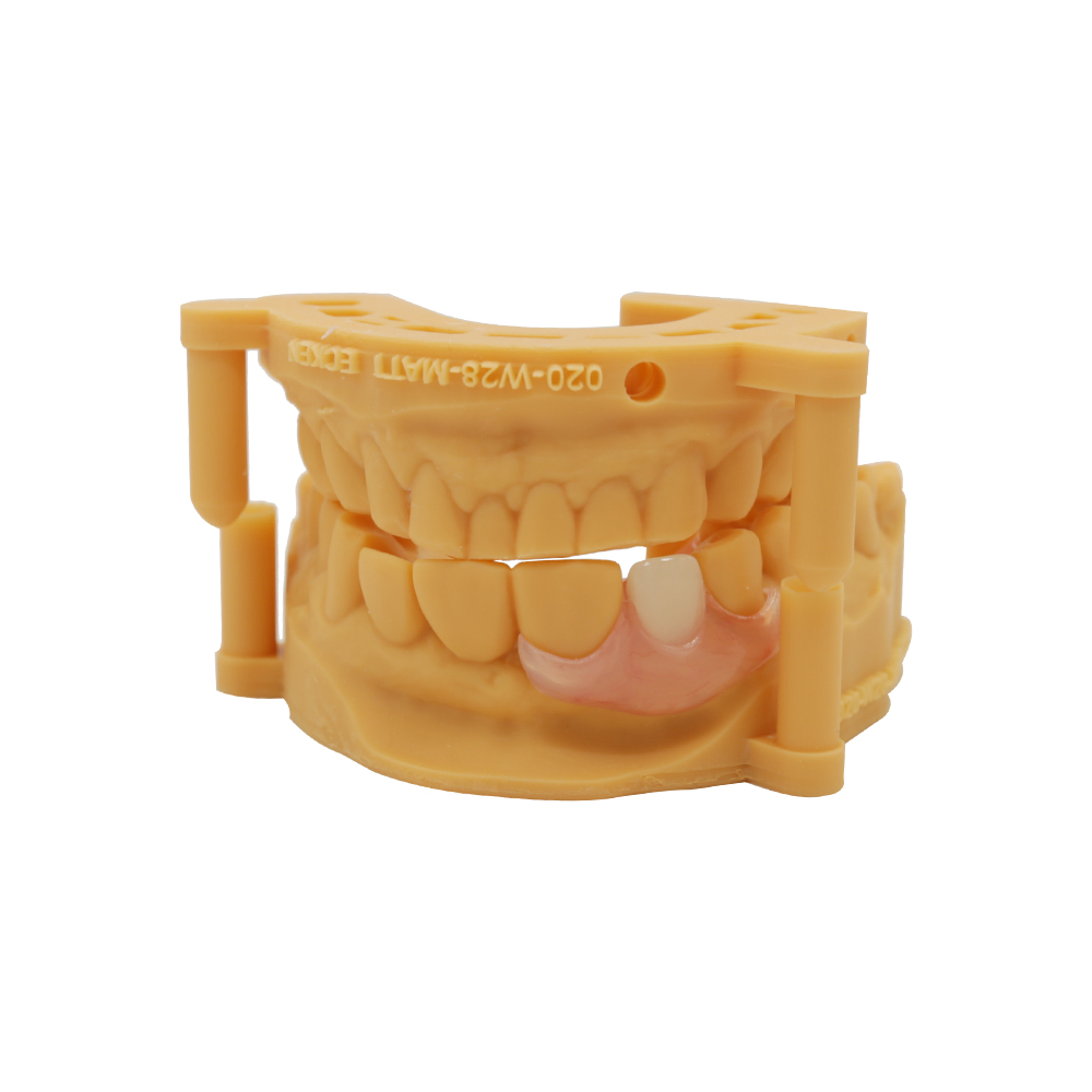 Flexi Denture Single Tooth By Istar FDA Certified