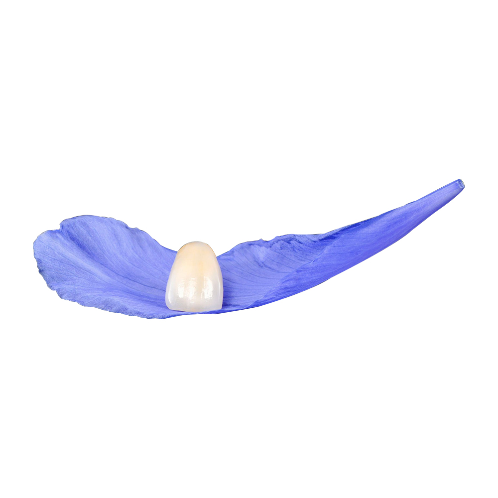 Get Perfect Smiles With WonderPeg Instant Firing Support Dental Lab Emax Crowns & Veneers