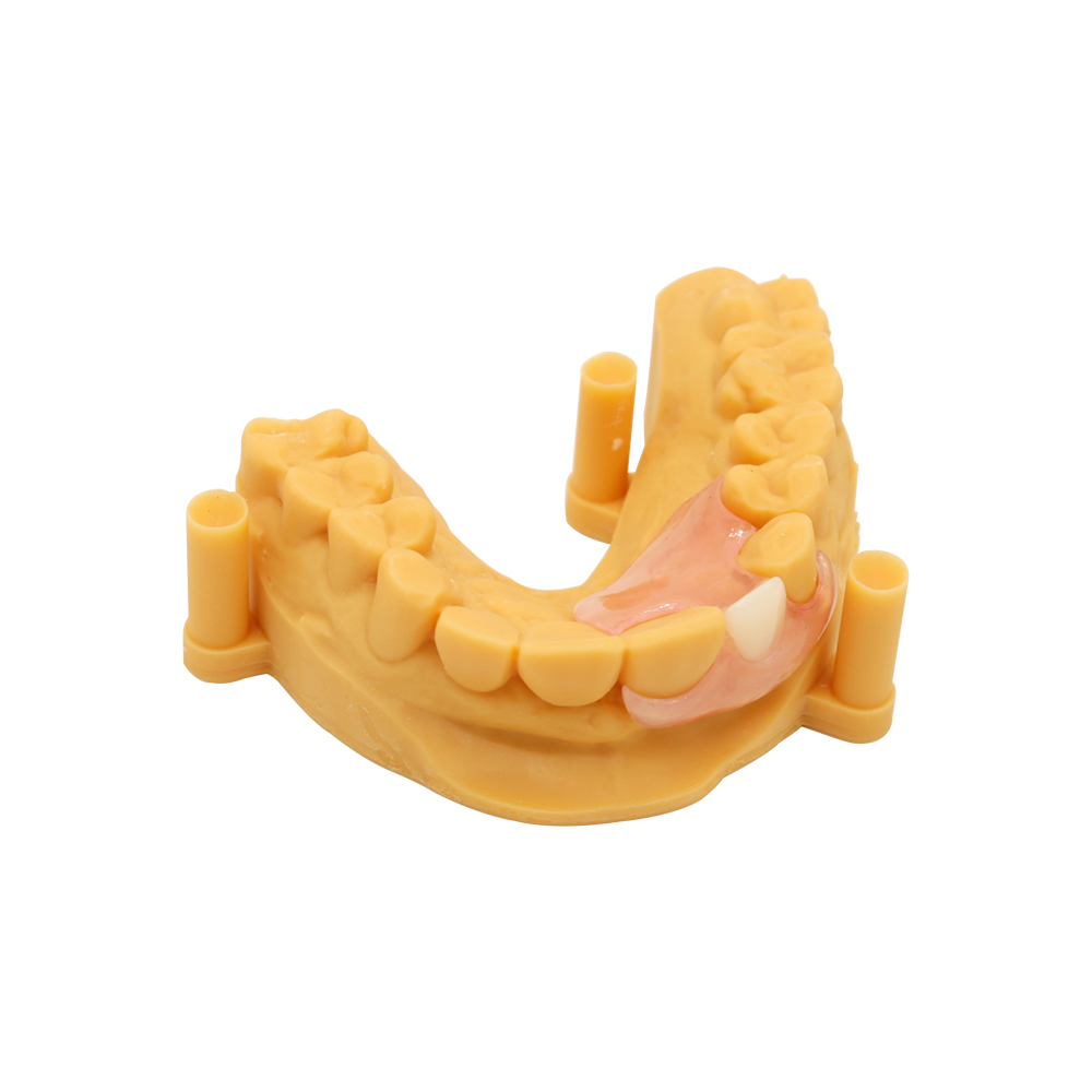 Flexi Denture Single Tooth de Istar - Certifié FDA