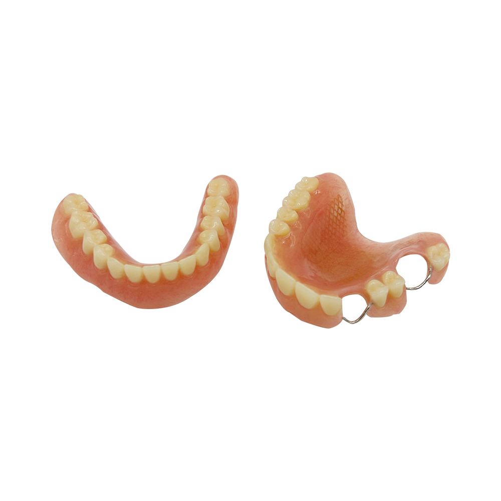健康・医学 Best Denture Design Adsorptive-Dentures-Most-Cost-